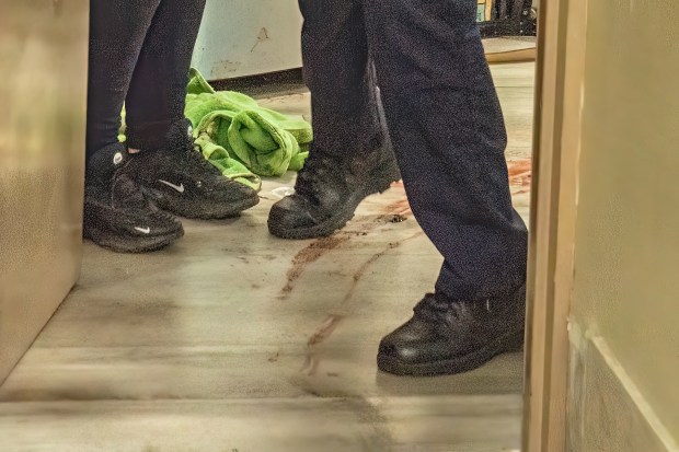 A 63-year-old woman was shot in the leg outside her apartment after taking out her garbage near E. 197th St. and Briggs Ave. in the Bronx on Saturday, June 27, 2026. (Theodore Parisienne / New York Daily News)