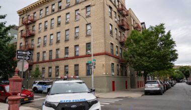 Woman, 63, shot in leg after taking out the trash in Bronx