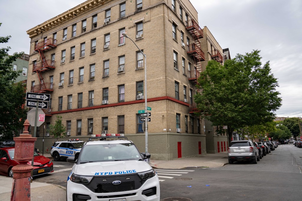Woman, 63, shot in leg after taking out the trash in Bronx