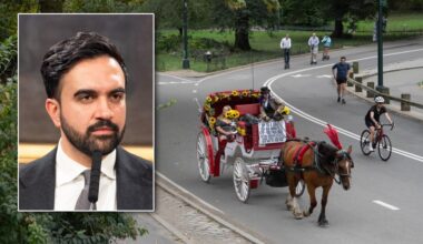 Mamdani renews call for banning Central Park carriage horses after horse dies in park
