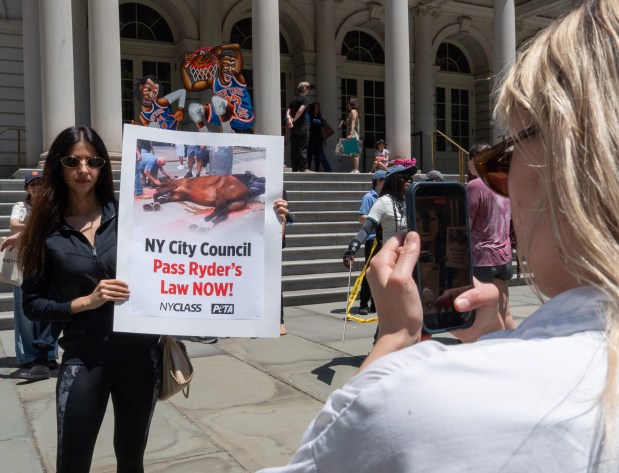 A Ryder's Law supporter poses with a poster in front of City Hall on Wednesday, June 10, 2026 in Manhattan, New York. (Barry Williams/ New York Daily News)