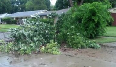 Residents clean up after severe storms: Here is where to dispose of brush, debris in NE Kansas