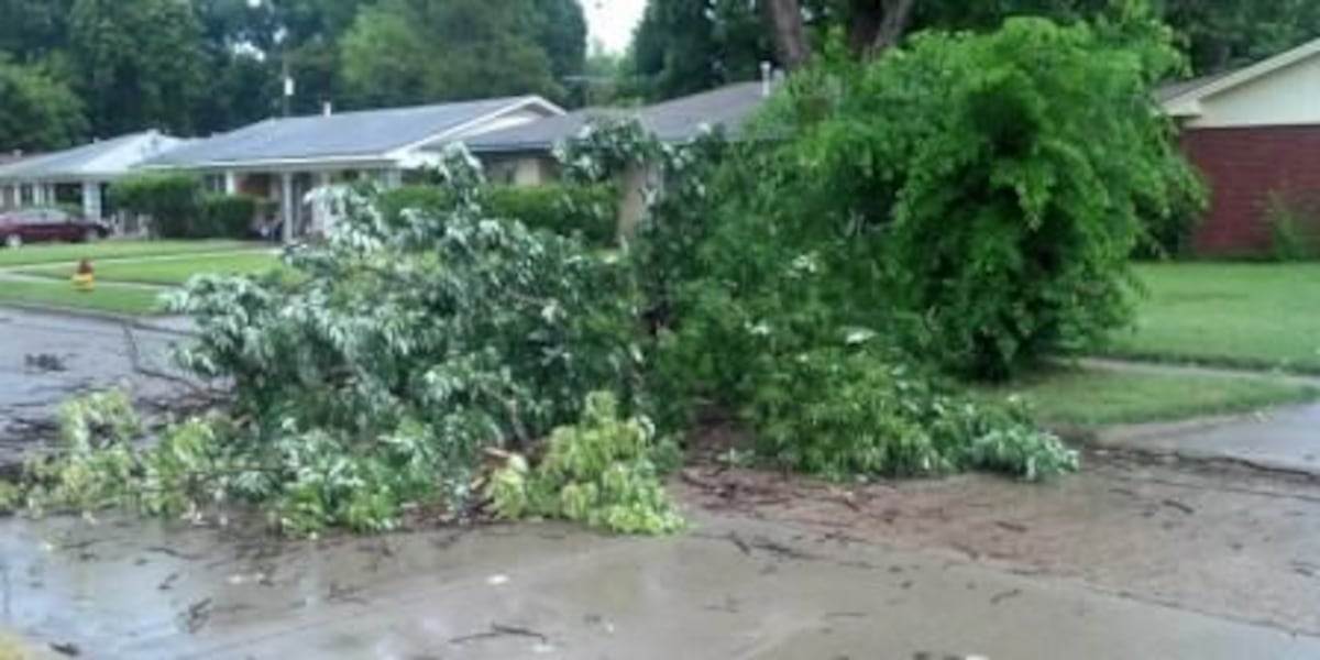 Residents clean up after severe storms: Here is where to dispose of brush, debris in NE Kansas