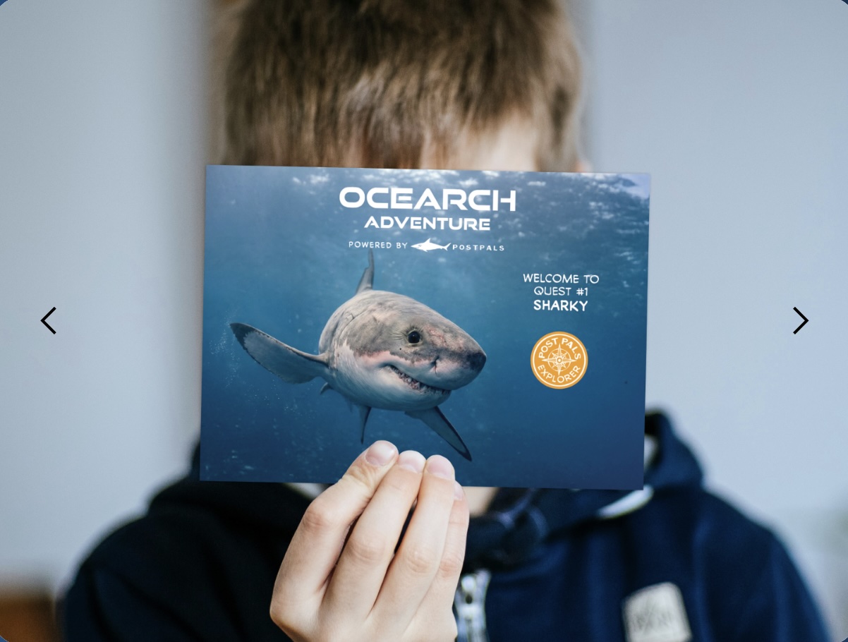 What if a shark could send your child mail? (sponsored) | Brooklyn Bridge Parents