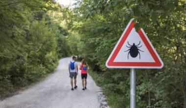 New York's Latest Tourist? A Rare, Potentially More Severe Form of Lyme Disease