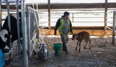 Farmworker