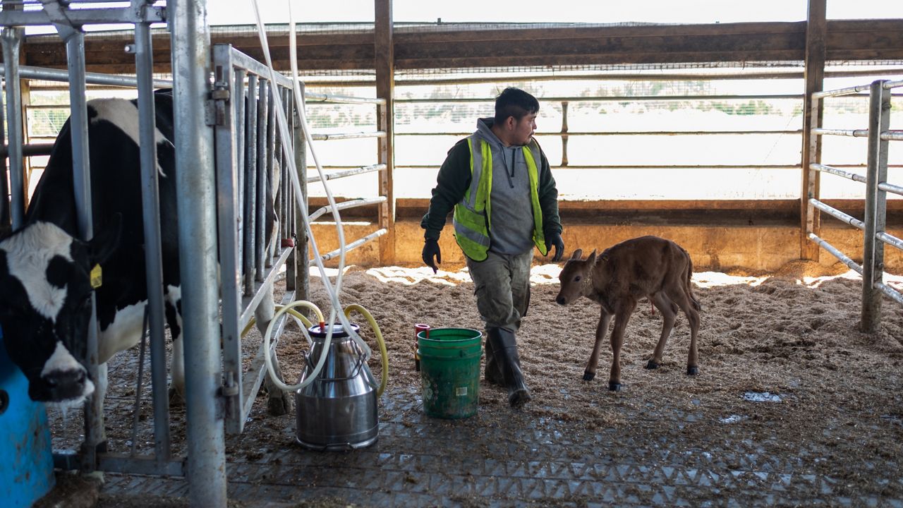 Farmworker