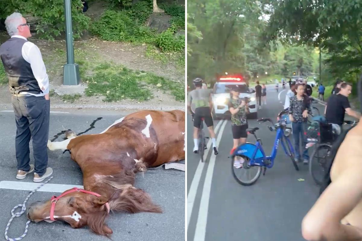 NYC carriage horse ate 'lethal' amount of toxic plant in Central Park before dying