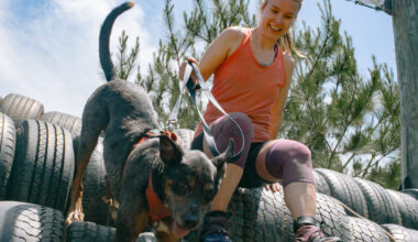 Why Race Alone When Your Dog Can Join, Too?