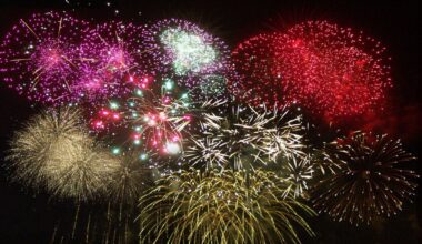 fireworks display