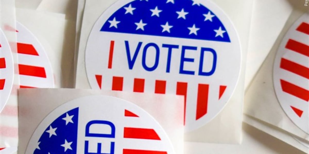 Voters take to the polls for New York primaries
