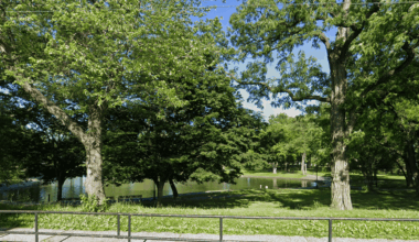 Decomposing body found floating in pond at Queens park: cops