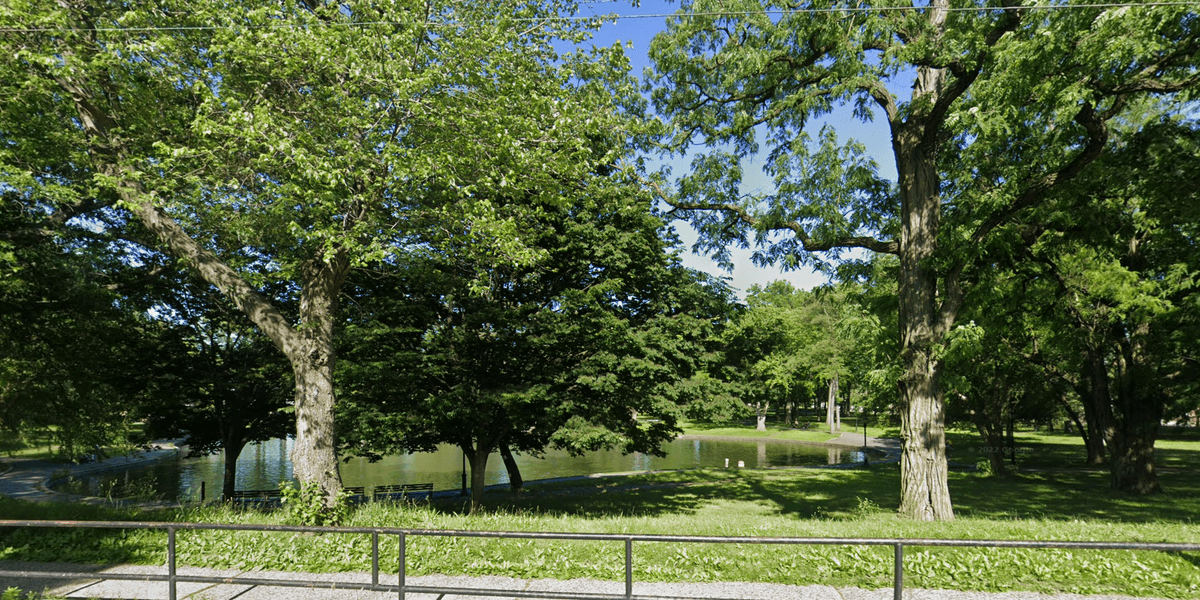 Decomposing body found floating in pond at Queens park: cops