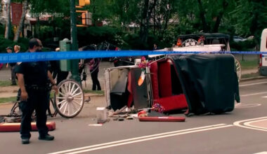 Horse-drawn carriage rides in New York on hold after teen tourist's death