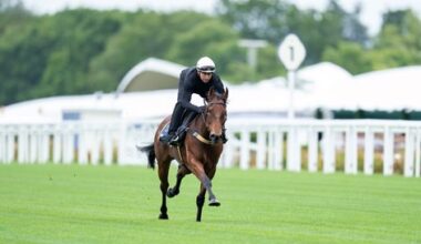 Joliestar Seeks Royal Win in Queen Elizabeth II Jubilee