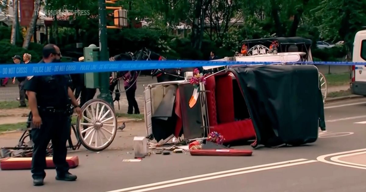 New York mayor, other leaders push to ban horse-drawn carriage rides after Indian teen's death :: WRAL.com