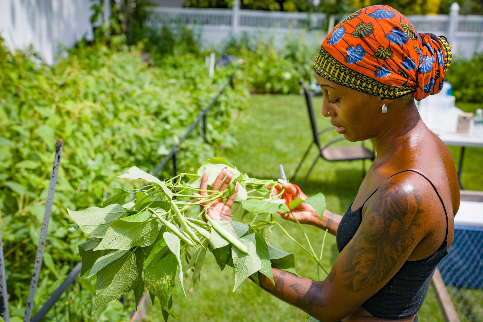 Harvesting the perfect green beans at the family farm. © Brendan Miller