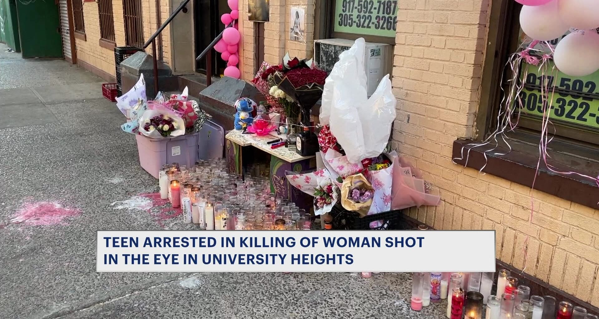 News 12 | Bronx | 16 Year Old Arrested In Fatal Shooting Of Woman Near University Heights Playground