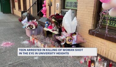 News 12 | Bronx | 16 Year Old Arrested In Fatal Shooting Of Woman Near University Heights Playground