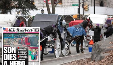 Mamdani pressured to ban NYC's iconic horse carriage rides after teen tourist's death