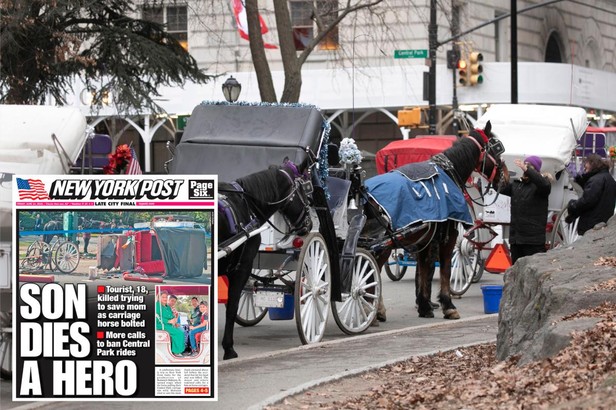 Mamdani pressured to ban NYC's iconic horse carriage rides after teen tourist's death