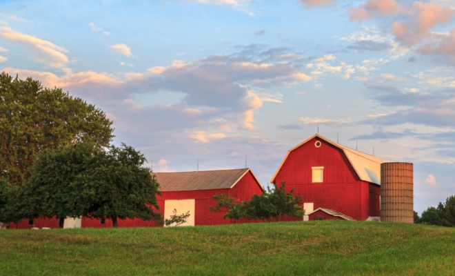 Governor Hochul Announces the Launch of $30 Million Tariff Relief Program for New York Agricultural Producers | Governor Kathy Hochul