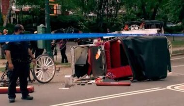 Horse-drawn carriage rides in New York on hold after teen tourist's death