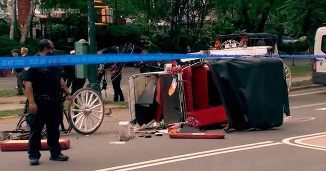 Horse-drawn carriage rides in New York on hold after teen tourist's death