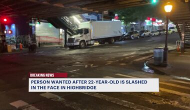 News 12 | Bronx | Man Slashed In The Face Suspect On The Loose