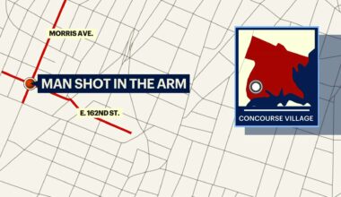 News 12 | Bronx | Man Injured In Concourse Village Shooting