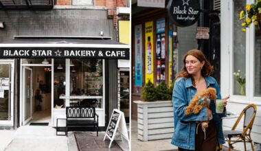 Dogs barking up trouble at NYC eateries in record numbers