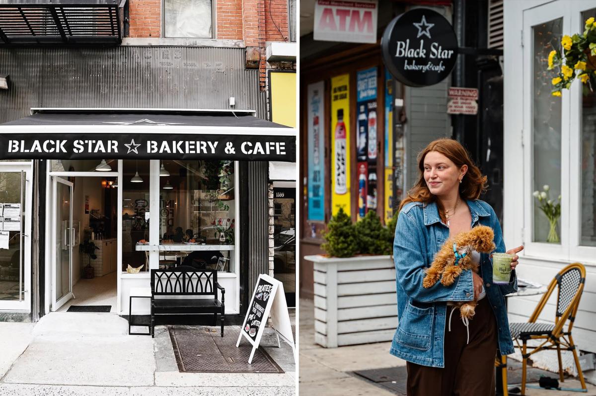 Dogs barking up trouble at NYC eateries in record numbers