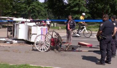 NYC Council will consider horse carriage ban after tourist's death in Central Park