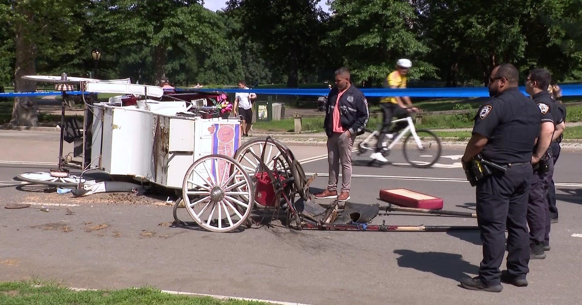 NYC Council will consider horse carriage ban after tourist's death in Central Park