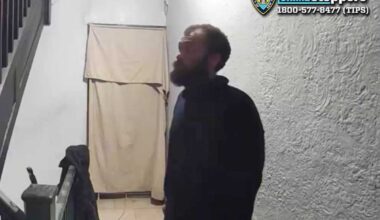 Bronx murder mystery: Cops seek roommate of dead man found with knife stuck in rotting body