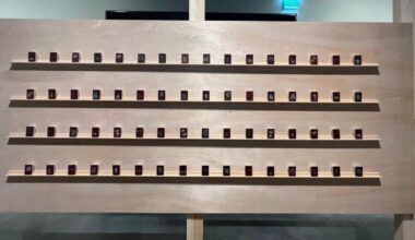 FROM THE BIENNALE - EVERYONE LOVES A MINIATURE