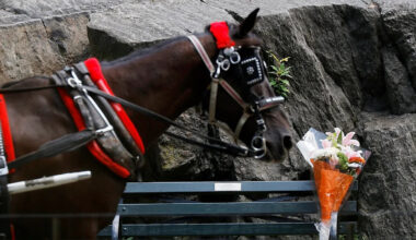 18-Year-Old Who Died in NYC Horse Carriage Accident Was Trying to ‘Save His Mother’ Beforehand