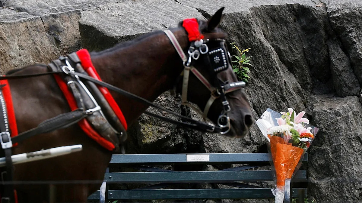 18-Year-Old Who Died in NYC Horse Carriage Accident Was Trying to ‘Save His Mother’ Beforehand