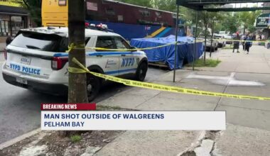 News 12 | Bronx | Two Suspects On The Run After Shooting Man Outside Walgreens In Pelham Bay