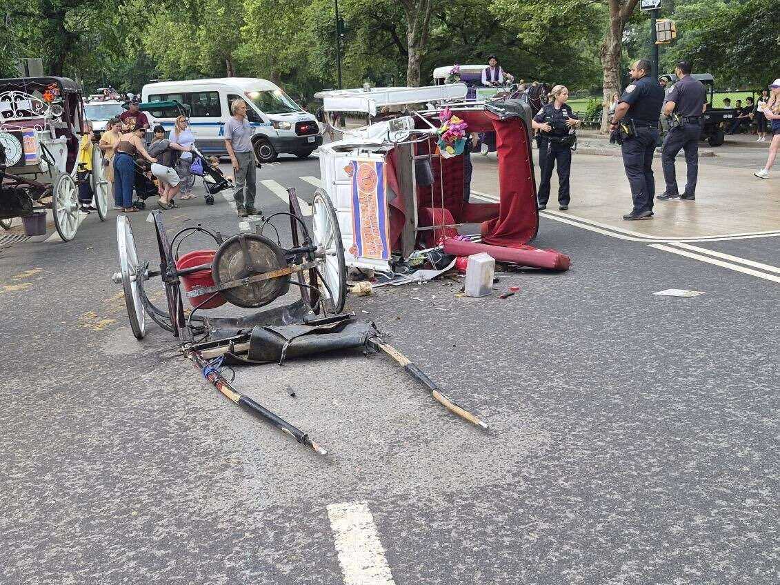 Editorial | It’s reform, or bust, for NYC’s horse carriage industry