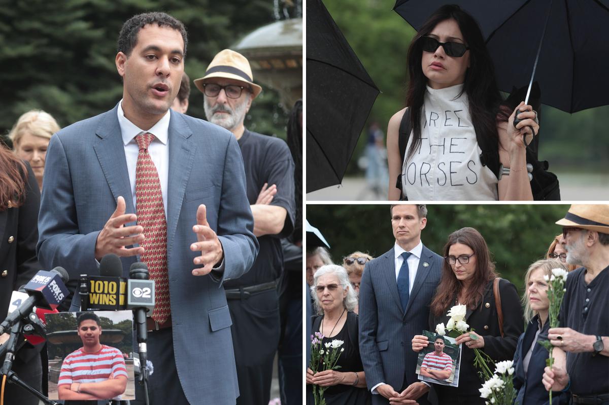 Romanch Mahajan's family demands NYC ban horse carriages