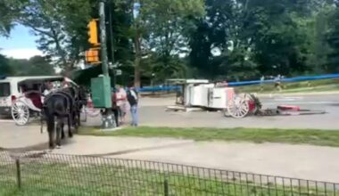 Central Park runaway horse carriage falls, hurting passenger – NBC New York