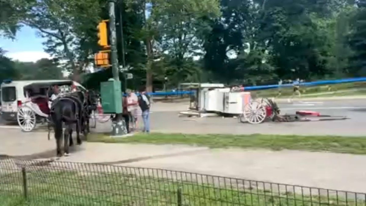 Central Park runaway horse carriage falls, hurting passenger – NBC New York
