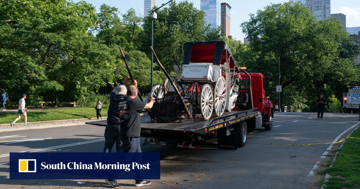 Teen dies in horse carriage incident in New York’s Central Park