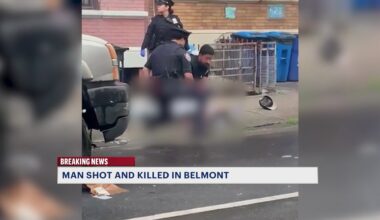 News 12 | Bronx | 21 Year Old Man Shot In The Head And Killed In Belmont