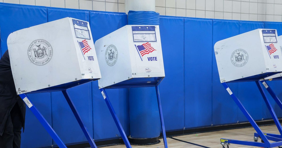 Unpacking the primary races in New York and South Carolina