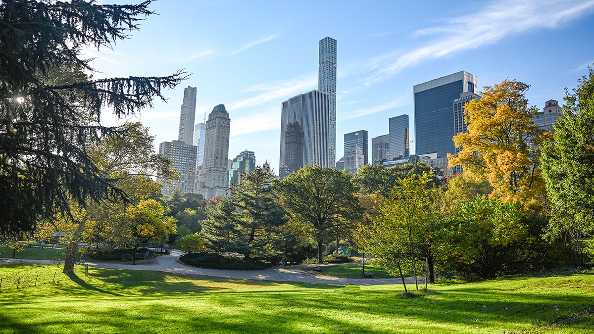 A group of bystanders chasing a man in Central Park New York City