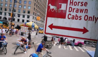 Horse carriage operations in Central Park have been suspended following the death of a teenage tourist earlier this week. (AP Photo/Frank Franklin II)