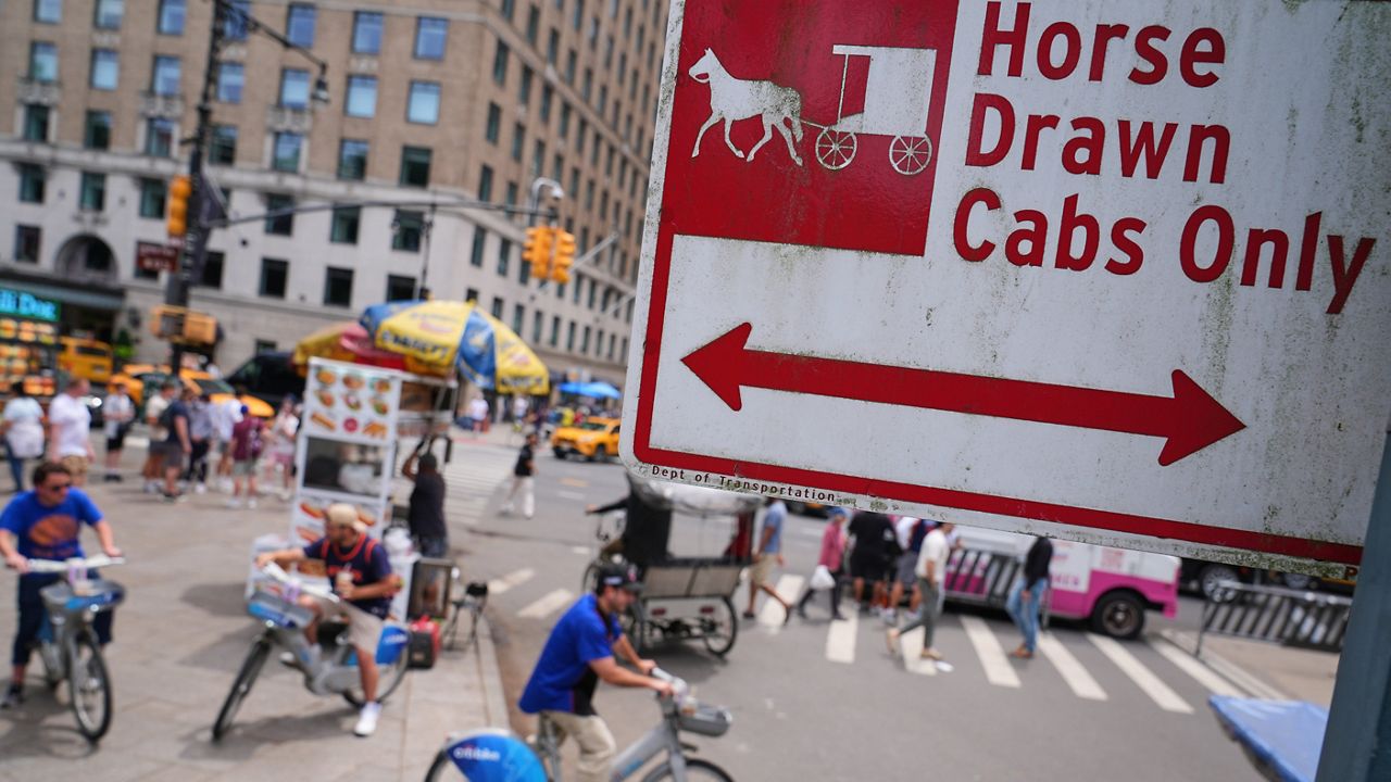 Horse carriage operations in Central Park have been suspended following the death of a teenage tourist earlier this week. (AP Photo/Frank Franklin II)