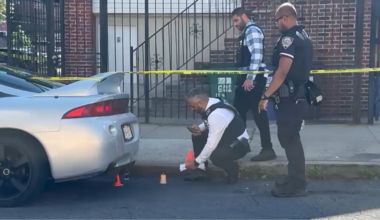 News 12 | Bronx | 50 Year Old Man Shot In Clason Point